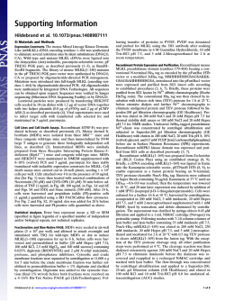 Download Supporting Information (PDF)