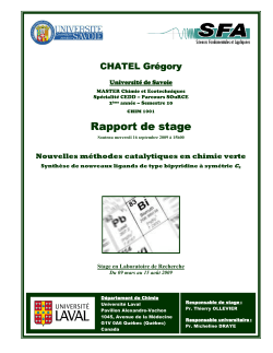 Rapport de stage - GC - 2009