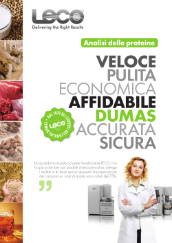 VELOCE PULITA ECONOMICA AFFIDABILE DUMAS