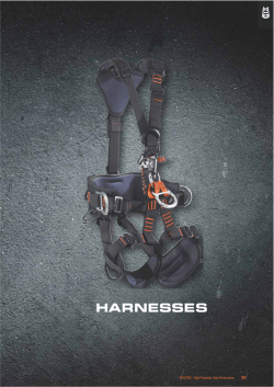 HARNESSES - Vertiko
