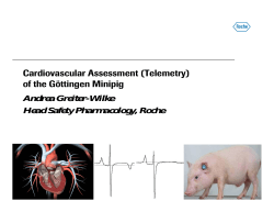 Cardiovascular Assessment (Telemetry)