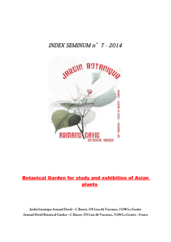 INDEX SEMINUM n&deg;4 - 2011