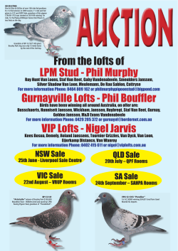 Pigeon Auction August 2014