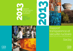 Rapport TSN Saclay 2013