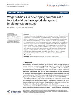 Wage subsidies in developing countries as a tool to build human