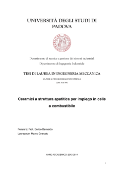 Documento PDF - Universit&agrave; degli Studi di Padova