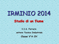 Progetto IRMINIO 2014