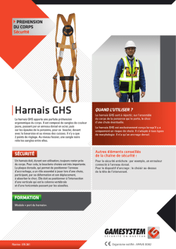 Harnais GHS - Gamesystem