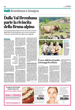 Salvaguardia della mucca bruna alpina