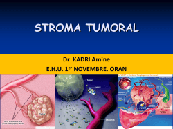 Stroma encéphaloide - Portail