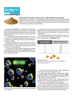 Dose (kg/ha) Indice di copertura*