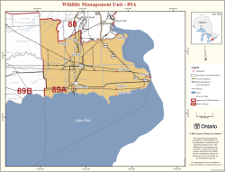 WMU 89A