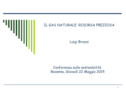 Il Gas Naturale: una risorsa preziosa Luigi Bruzzi