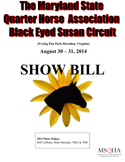 Black Eyed Susan Circuit Showbill