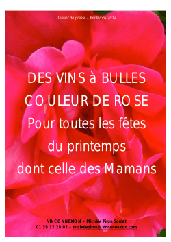 DOS Bulles roses 2014.docx