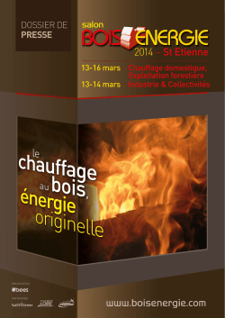 DOSSIER DE PRESSE - NF Bois de Chauffage