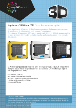 Imprimante 3D Witbox FDM (*avec formation en option )