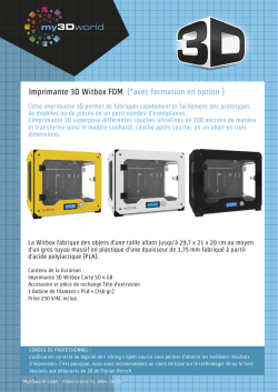 Imprimante 3D Witbox FDM (*avec formation en option )