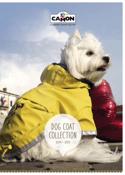 dog coat collection
