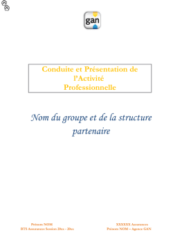 Dossier CPAP BTS Assurance n&deg; 2