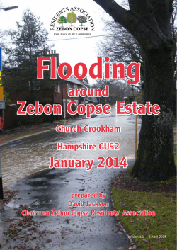 Zebon Copse Floods January 2014