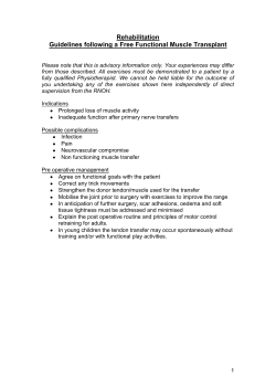 Guidelines following a Free Functional Muscle Transplant
