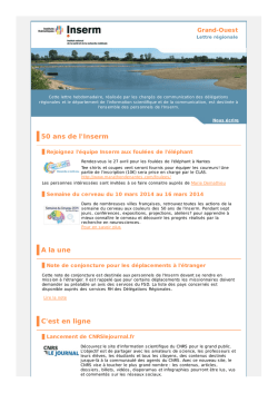 Lettre Grand-Ouest (Semaine 11)