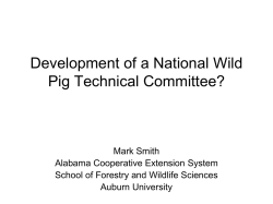 National Wild Pig Task Force