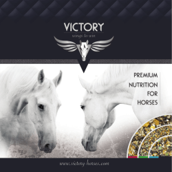 Untitled - Victory Horses