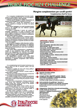 HORSE FIOC H24 CHALLENGE OR HO HHOR O HOR RS E FIOC