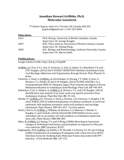 Download curriculum vitae
