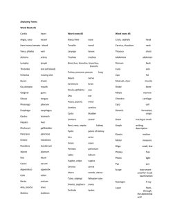 Anatomy Terms Word Roots #1 Cardio heart Angio, vaso vessel
