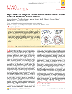 High-Speed AFM Images of Thermal Motion Provide Stiffness Map