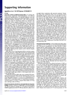 Download Supporting Information (PDF)