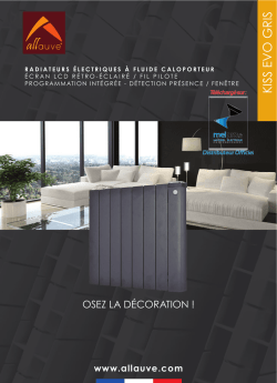 Fiche technique KISS EVO GRIS