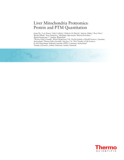 Liver Mitochondria Proteomics: Protein and PTM