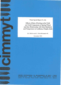 Effects of Date of Sowing on the Yield and Yield