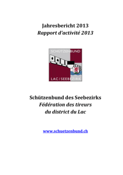 Jahresbericht des SBS 2013