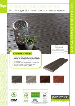 Fiche Technique Terrasse Bois Couleur