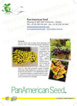 PanAmerican Seed - Clamer Informa