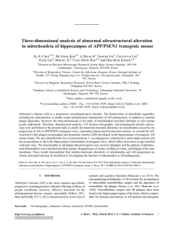 Three-dimensional analysis of abnormal ultrastructural alteration in