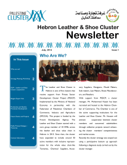 The Leather and Shoe Cluster Newsletter