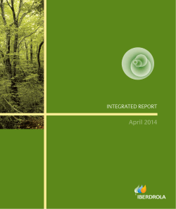 Integrated Report April 2014 download PDF External link
