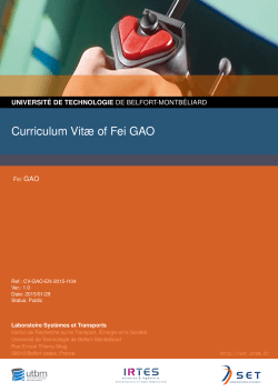 Curriculum Vitæ of Fei GAO