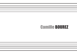 CamilleBOUREZ - Fichier PDF
