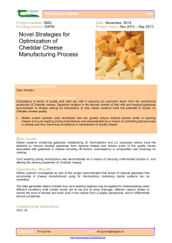 Novel Strategies for Optimization of Cheddar Cheese