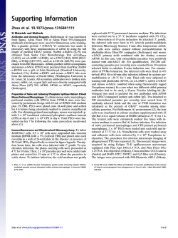 Download Supporting Information (PDF)