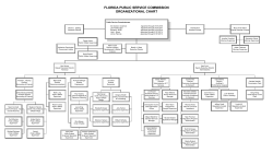 PSC Organizational Chart - Public Service Commission