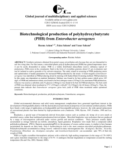 Biotechnological production of polyhydroxybutyrate (PHB) from