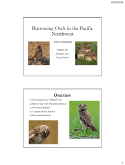 Example case study: Burrowing owls in the Pacific Northwest